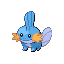 mudkip