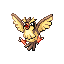 pidgey