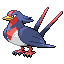 swellow