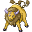 tauros