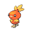 torchic