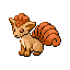 vulpix