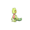 treecko