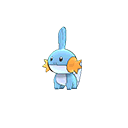 mudkip