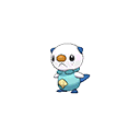 oshawott