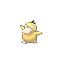 psyduck