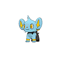 shinx