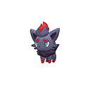 zorua