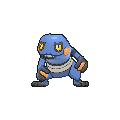 croagunk