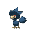 murkrow