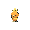 torchic