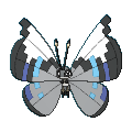 vivillon-monsoon