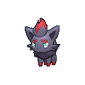 zorua