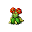 182bellossom.png