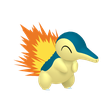 Normal Cyndaquil