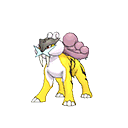 243.png