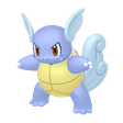 Wartortle