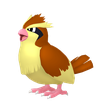 Pidgey