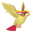 Pidgeot