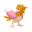 Spearow