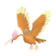 Fearow