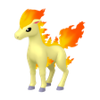 Ponyta