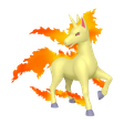 Rapidash