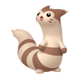 Furret