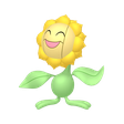 Normal Sunflora