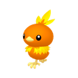 Torchic