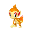 Chimchar