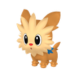 Lillipup