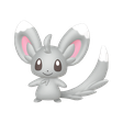 Minccino