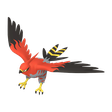 Normal Talonflame