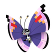 Elegant Vivillon