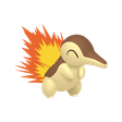 Shiny Cyndaquil