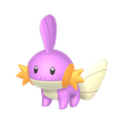 Mudkip