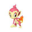 Shiny Chimchar