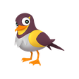 Shiny Wattrel Shiny Wattrel