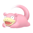 Normal Slowpoke Normal Slowpoke