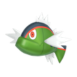 Normal Red-Striped Basculin Normal Red-Striped Basculin