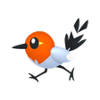 Normal Fletchling Normal Fletchling