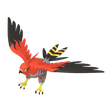 Normal Talonflame Normal Talonflame