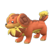 Normal Dachsbun Normal Dachsbun