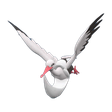 Normal Bombirdier Normal Bombirdier