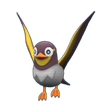 Shiny Wattrel Shiny Wattrel